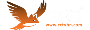 环球约飞